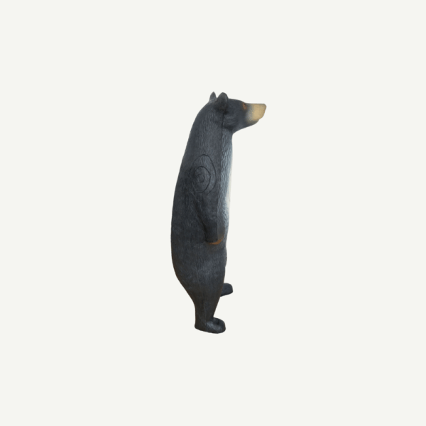 100215 Leitold Black Bear - Image 5