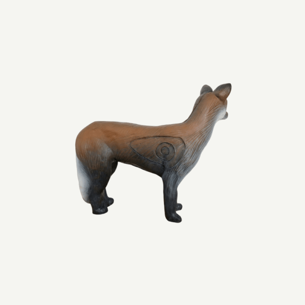 100218 Leitold Coyote - Image 3