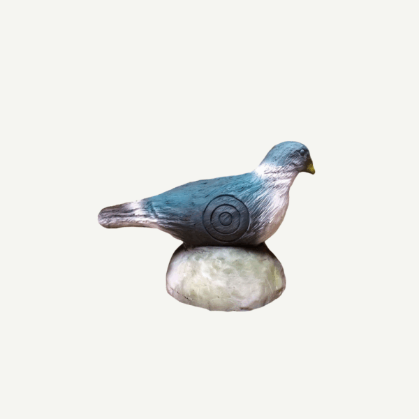 100223 Leitold Pigeon - Image 3