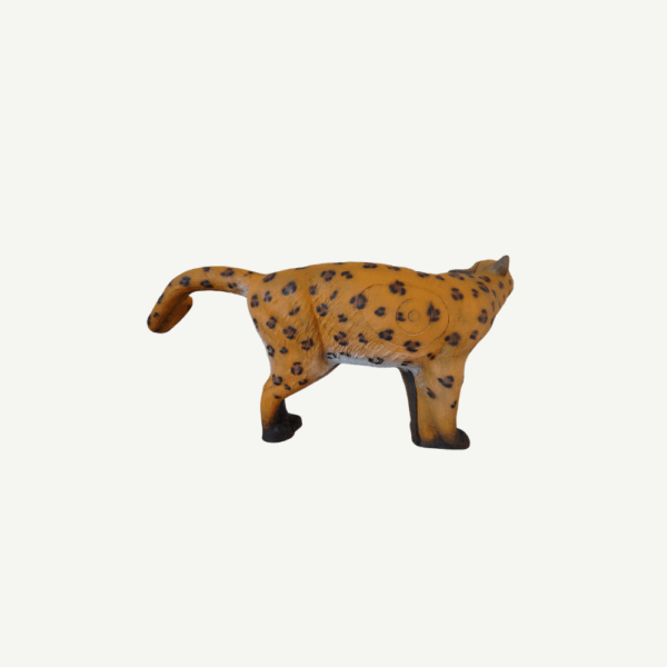 100226 Leitold Leopard - Image 3