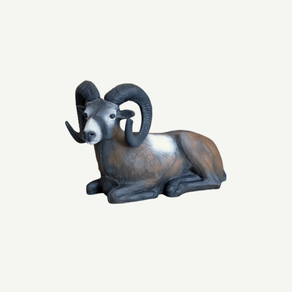 100229 Leitold Bedded Mouflon - Image 4