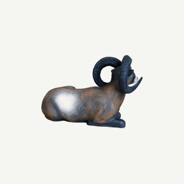 100229 Leitold Bedded Mouflon - Image 3