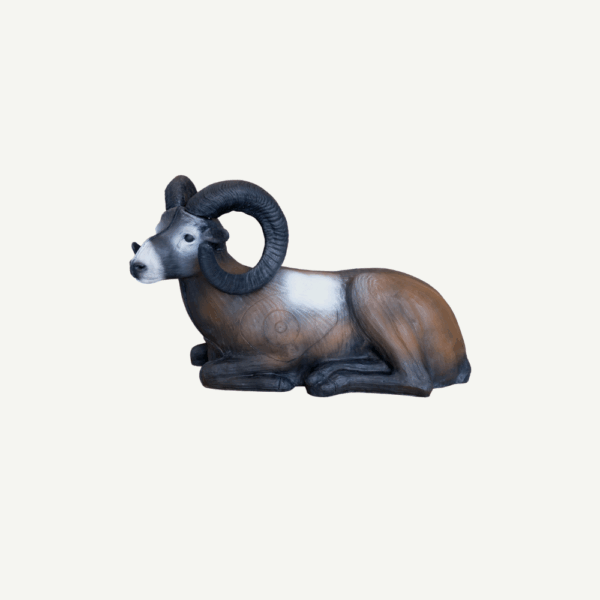100229 Leitold Bedded Mouflon - Image 5