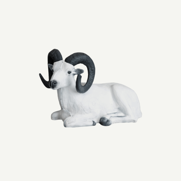100242 Leitold Bedded Dall Sheep - Image 4