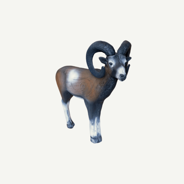 100228 Leitold Standing Mouflon - Image 3