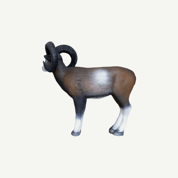100228 Leitold Standing Mouflon - Image 5