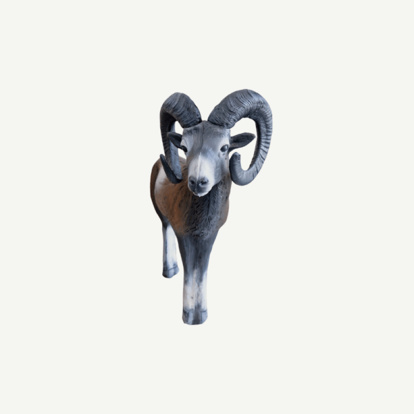 100228 Leitold Standing Mouflon - Image 6