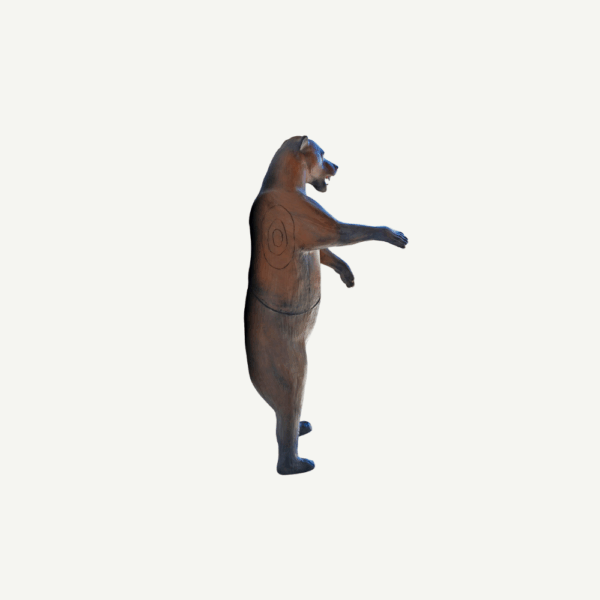 100233 Leitold Grizzly Bear standing - Image 4