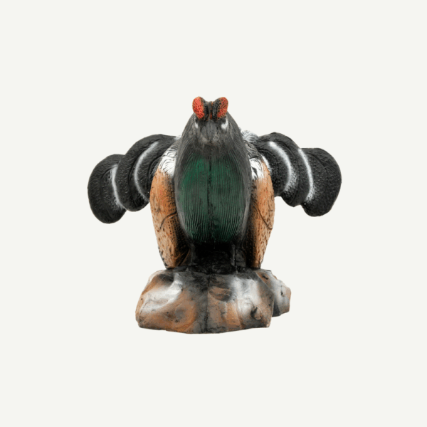 100247 Leitold Blackcock - Image 3