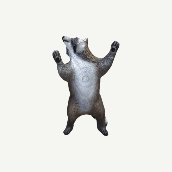 100366 Leitold Climbing Racoon - Image 3