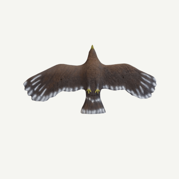 100352 Leitold Flying Golden Eagle - Image 3