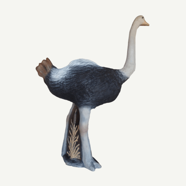 100337 Leitold Ostrich - Image 3