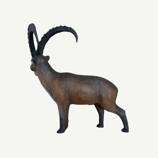 100327 Leitold Alpine Ibex - Image 3
