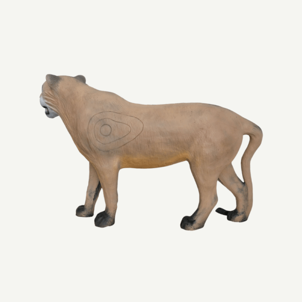 100325 Leitold Lioness - Image 3