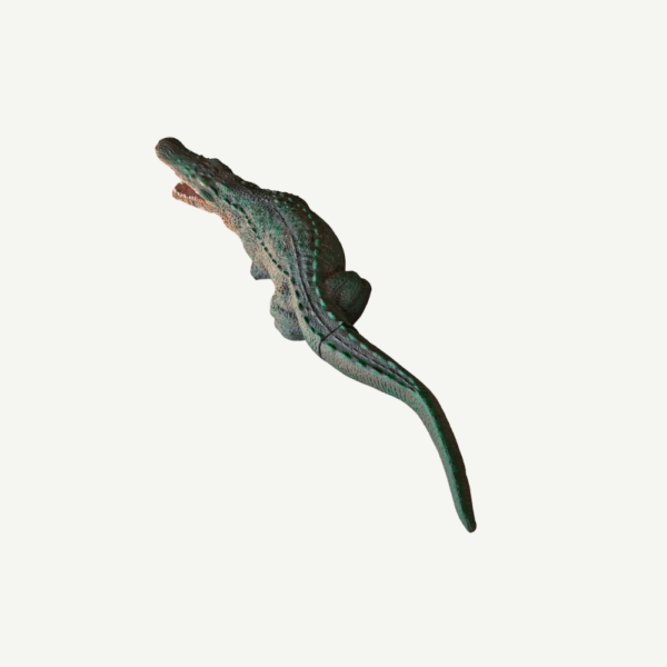 100264 Leitold Crocodile - Image 4