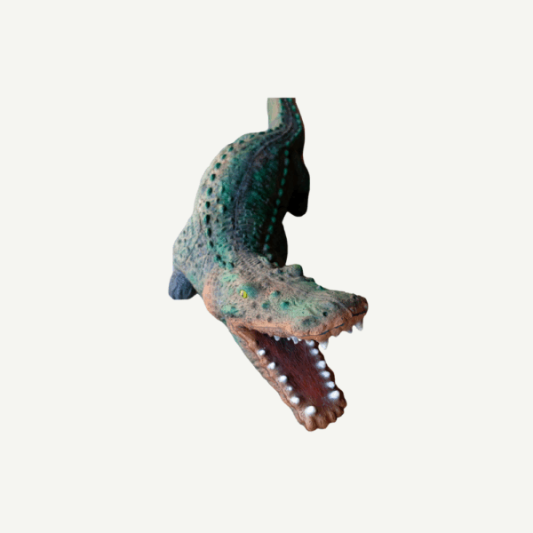 100264 Leitold Crocodile - Image 13