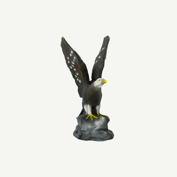 100262 Leitold Bald Eagle - Image 4