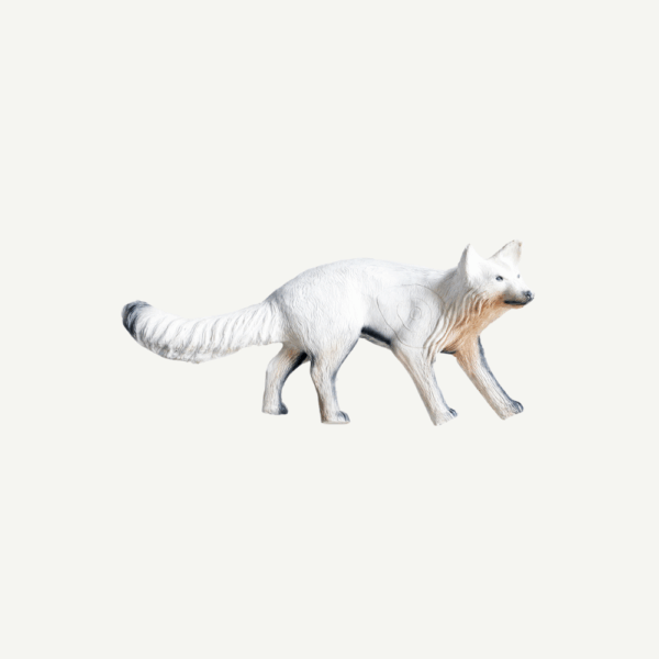 100267 Leitold Running Polar Fox