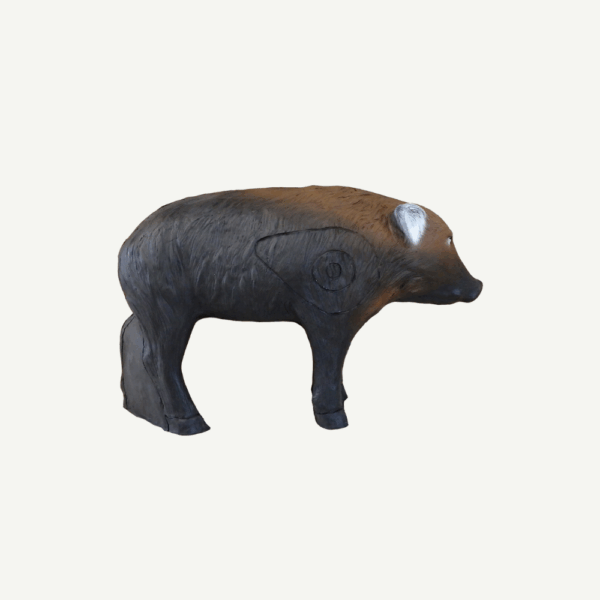 100315 Leitold Young Wild Boar - Image 3