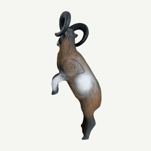 100314 Leitold Mouflon on hind legs - Image 3