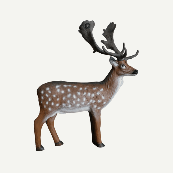 100313 Leitold Fallow Deer - Image 3