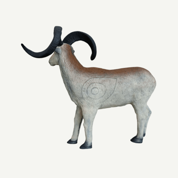 100275 Leitold Marco Polo Sheep - Image 3