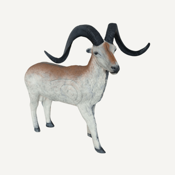 100275 Leitold Marco Polo Sheep - Image 4