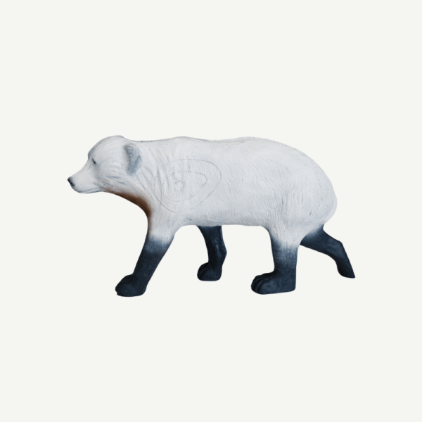 100302 Leitold Small Polar Bear walking - Image 4