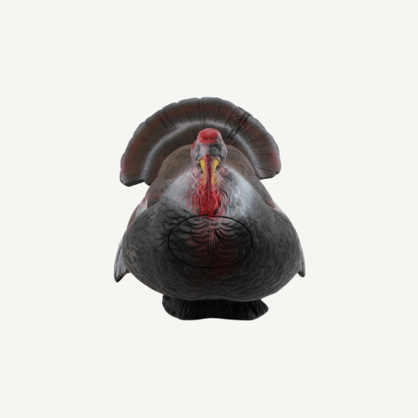60165 Longlife Courting Gobbler - Image 4