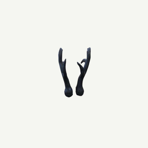 100564 Leitold Roebuck Antler (1 Pair) - Image 3