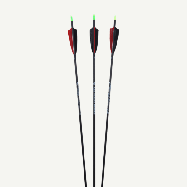 Penthalon Carbon Arrows 40812 Traditonal Black Natural Feathers