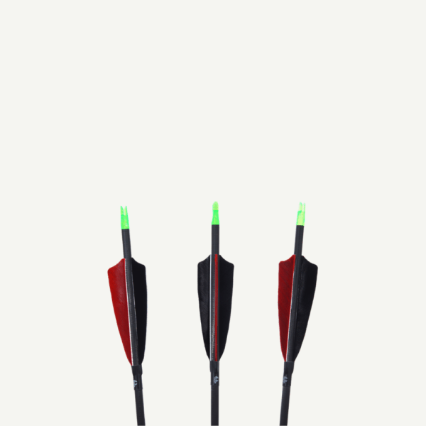 Penthalon Carbon Arrows 40812 Traditonal Black Natural Feathers - Image 2