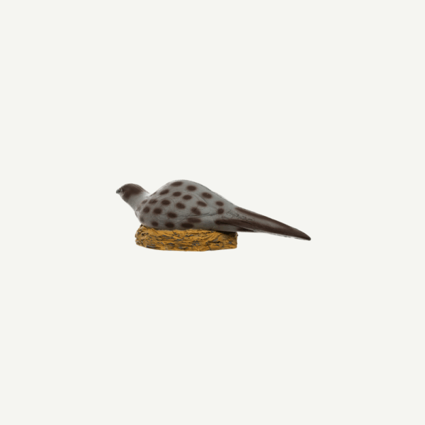 100920 IBB 3D Pheasant hen - Image 3