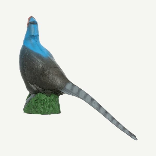 100934 IBB 3D Animal Blue Pheasant - Image 5