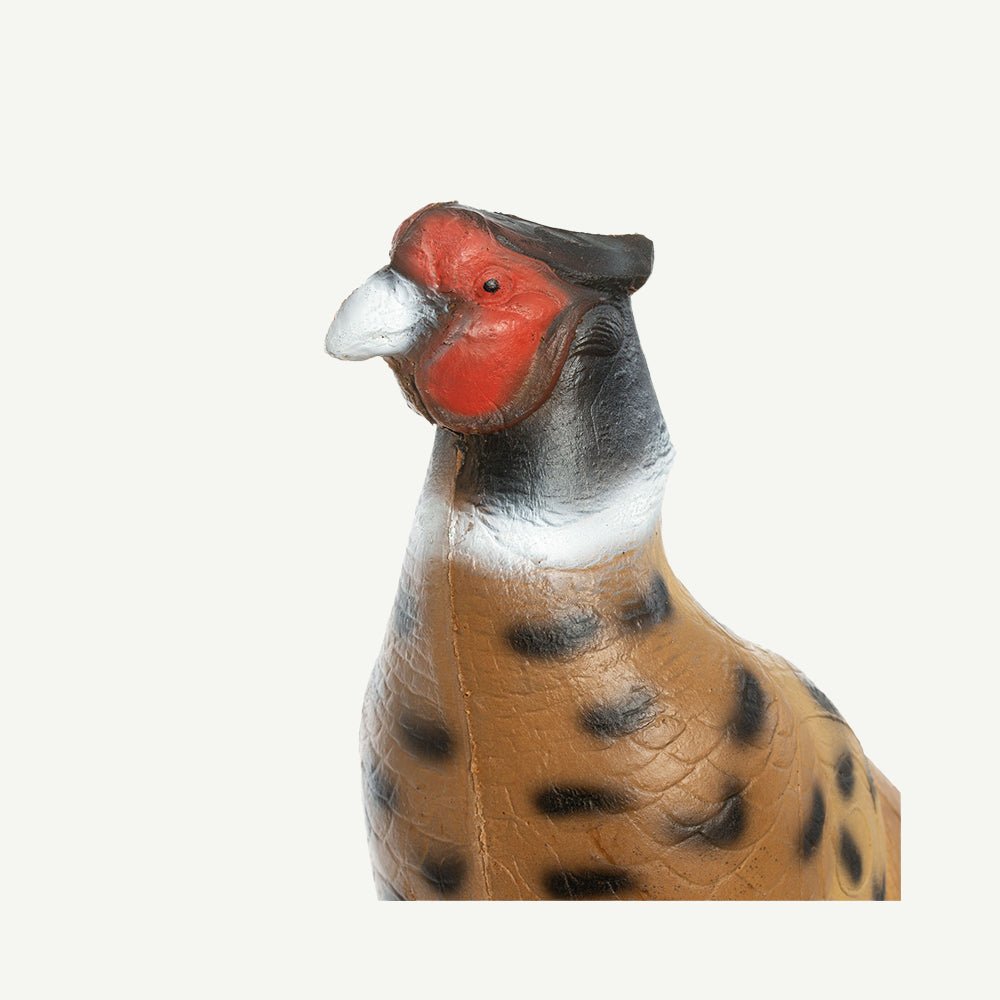 100935 IBB 3D Animal Noble Pheasant - Image 6