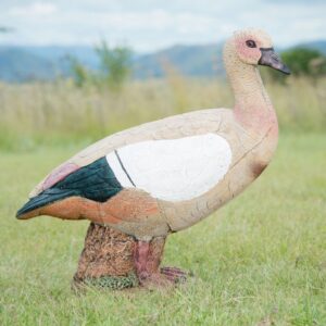 100993 Wildcrete 3D Target - Egyptian Goose