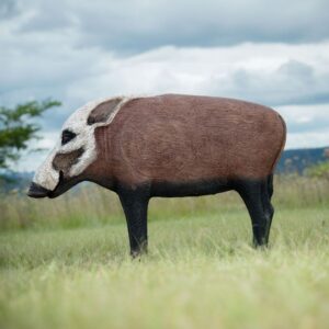 100978 Wildcrete 3D Target - Bushpig Large