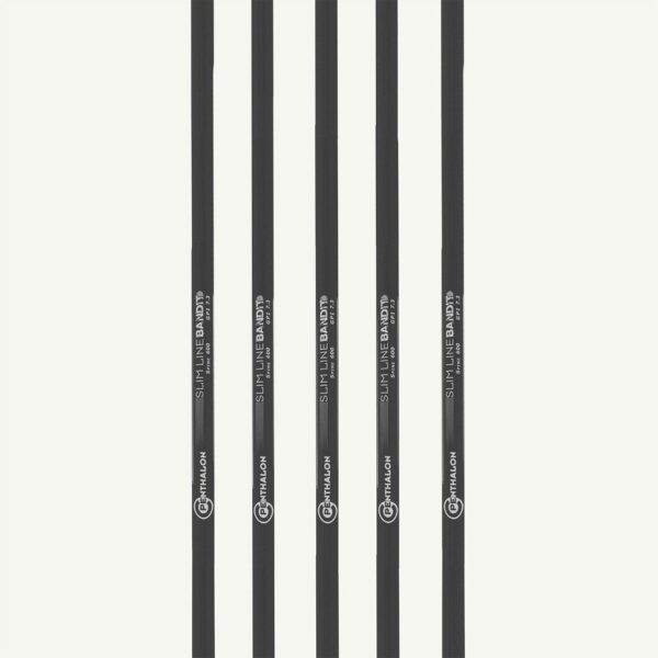 101179 Penthalon Carbon Shafts Bandit Slim Line - Image 2