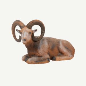 100108 Longlife Lying Mouflon