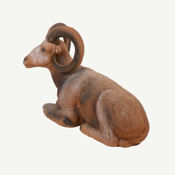 100108 Longlife Lying Mouflon - Image 3