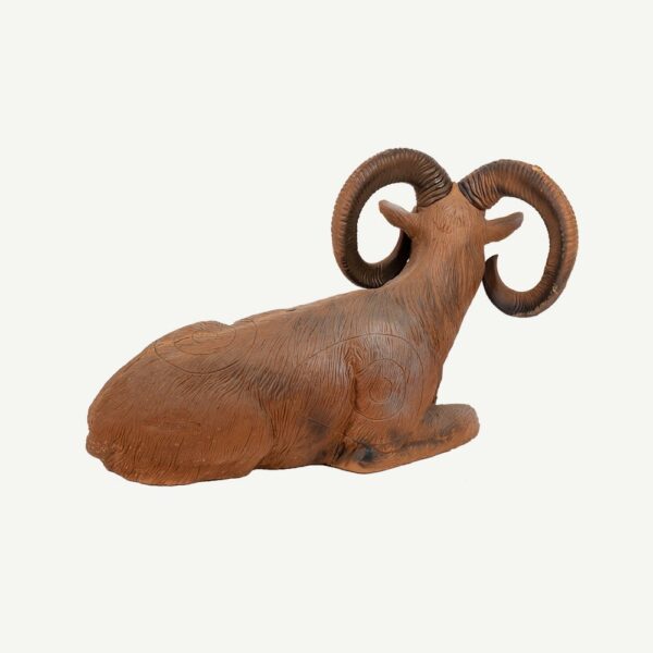 100108 Longlife Lying Mouflon - Image 4