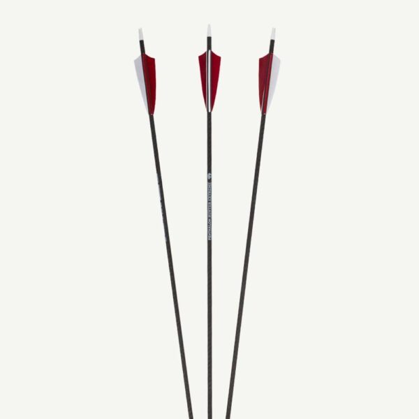 Penthalon Carbon Arrows 40816 Hunter Extreme Natural Feathers