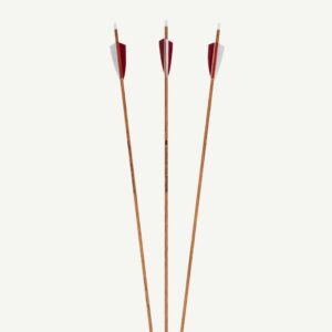 Penthalon Carbon Arrows 40819 Slim Line Timber Natural Feathers